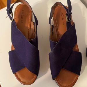 Navy Blue Sandals